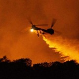 Korban Kebakaran Hutan Los Angeles Bertambah, 24 Meninggal 16 Orang Hilang