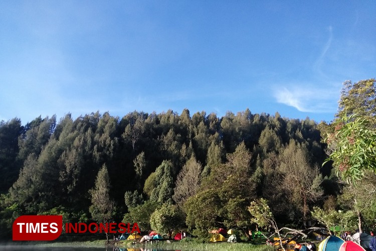 Ranu Regulo di kaki Gunung Semeru menawarkan wisata alam mempesona. Danau alam di Desa Ranupani, Kecamatan Senduro, Lumajang ini berada di kawasan  Taman Nasional Bromo Tengger Semeru. (foto-foto: Hamida Soetadji/TIMES Indonesia).