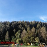 Ranu Regulo, Pesona Alam di Desa Tertinggi Gunung Semeru