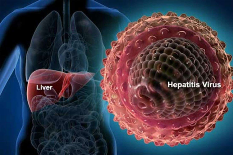 Peran Kolaborasi dalam Pemberantasan Hepatitis Virus: Visi CEVHAP untuk Masa Depan