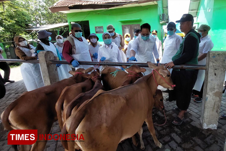 11 Ribu Sapi Terjangkit PMK, Pj Gubernur Jatim Pastikan Pasar Hewan Probolinggo Tetap Buka