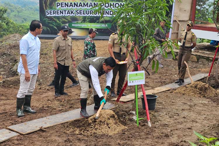 Wamen Kehutanan Tanam Pohon di Majalengka, Dukung Pemulihan Lahan Kritis