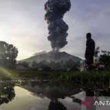 Erupsi Gunung Ibu, BNPB Estimasi 3.000 Jiwa Warga Harus Dievakuasi