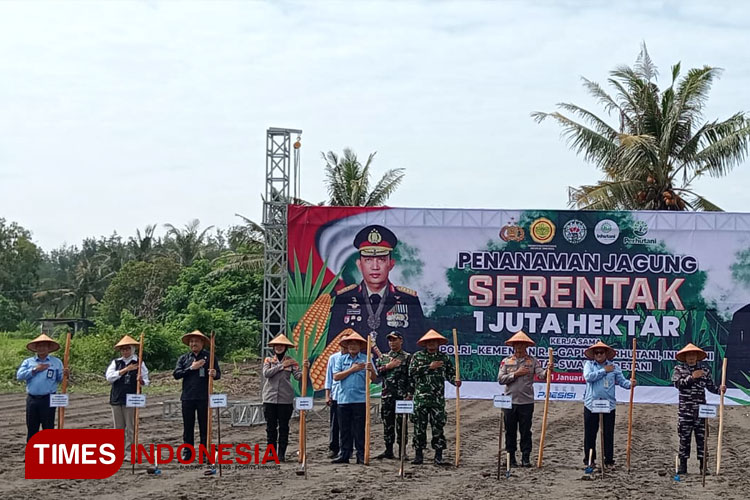 Tekan Ketergantungan Impor dan Dukung Swasembada Pangan, Polri Tanam Serentak Jagung di Bantul