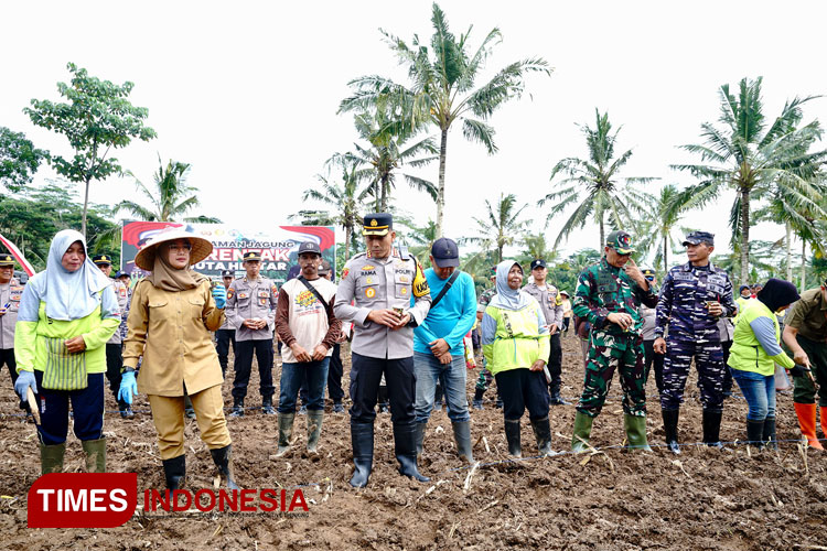 Program Ketahanan Pangan Nasional, Banyuwangi Siapkan 650 Hektare Lahan