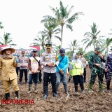 Program Ketahanan Pangan Nasional, Banyuwangi Siapkan 650 Hektare Lahan