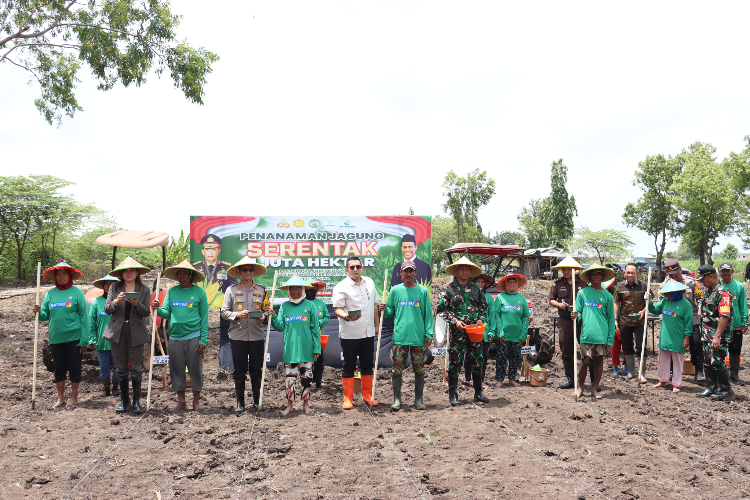 Kolaborasi dalam Program Tanam Jagung Serentak 1 Juta Hektar di Mojokerto