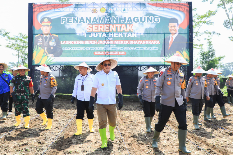 Pj Gubernur Adhy Bersama Polda Jatim Tanam Jagung Serentak di Kabupaten Blitar