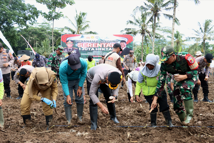 Menuju Swasembada Pangan, Polresta Banyuwangi Tanam Jagung Serentak 1 Juta Hektare