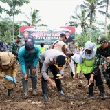 Menuju Swasembada Pangan, Polresta Banyuwangi Tanam Jagung Serentak 1 Juta Hektare