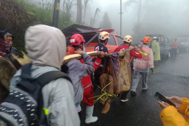 Longsor dan Banjir Bandang di Petungkriyono Pekalongan, 16 Tewas dan 3 Orang Masih Hilang