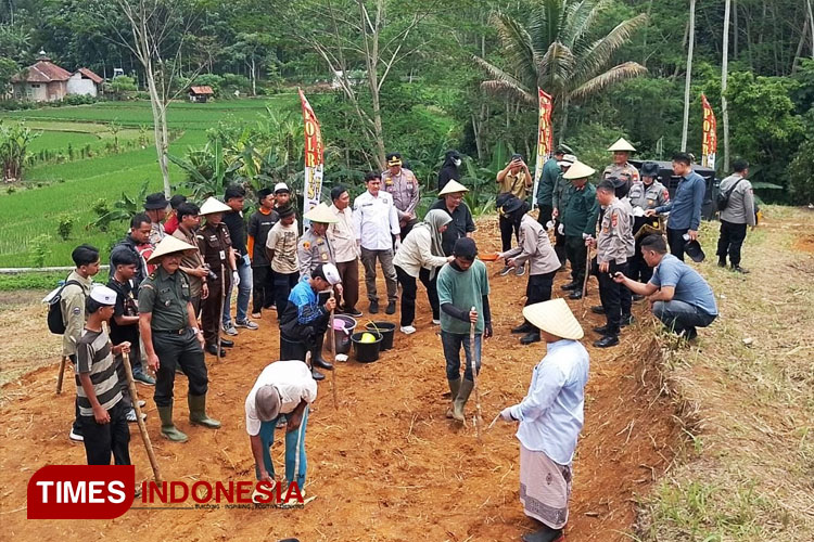 Dukung Swasembada Pangan, Polres Tasikmalaya Kota Tanam Jagung di Lahan 11 Hektare