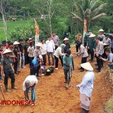 Dukung Swasembada Pangan, Polres Tasikmalaya Kota Tanam Jagung di Lahan 11 Hektare