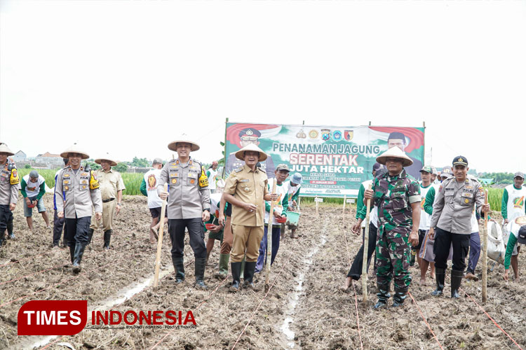 melakukan-tanam-jagung-2.jpg