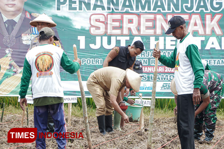 Pemkab Lamongan Pasang Target Tanam Jagung di Lahan Seluas 56 Hektar