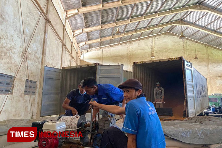 foto penurunan DDGS Import perdana. (FOTO: AJP TIMES Indonesia)