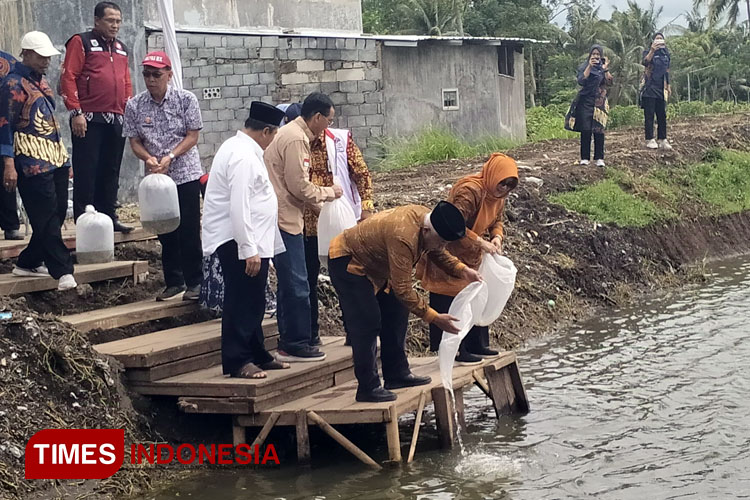 Manfaatkan Embung Irigasi, Desa Pringu di Malang Budidaya Lele dan Nila