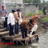 Manfaatkan Embung Irigasi, Desa Pringu di Malang Budidaya Lele dan Nila