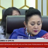 Soal Pagar Laut, Titiek Soeharto Bilang Ini ke Menteri Trenggono