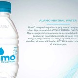 Alamo Mineral: Air Mineral Alami yang Memancarkan Aura Positif dan Kesehatan Alami