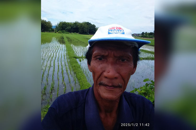 HPP Gabah Ditetapkan Rp6.500 per Kilogram, Petani Bantul Sambut Baik