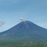 Semeru Erupsi 10 Kali, Tinggi Letusan Capai 1 Kilometer