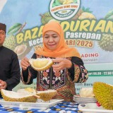 Meriahnya Bazar Durian Khas Pasuruan, Jenis Kasmin Jadi Favorit Khofifah