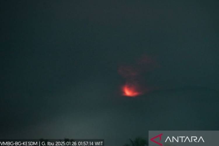 Erupsi Gunung Ibu di Halmahera Barat Masih Berlanjut, Abu Vulkanik Capai 500 Meter