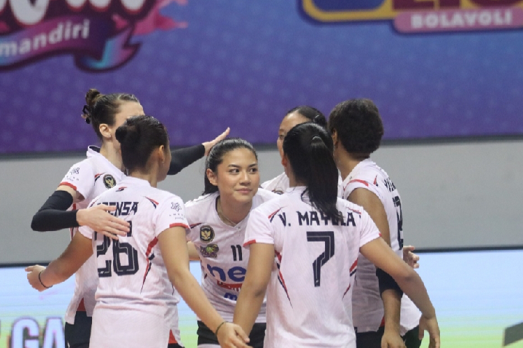 PLN-Mobile-Proliga-2025-f.jpg