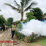 Desa Kendal Ngawi Gelar Fogging Massal untuk Cegah Penyebaran Penyakit DBD