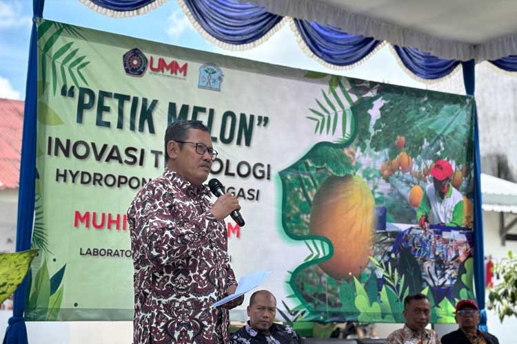 Melon di Greenhouse UMM Subur Berkat Teknologi Smart Farming Pupuk Racikan