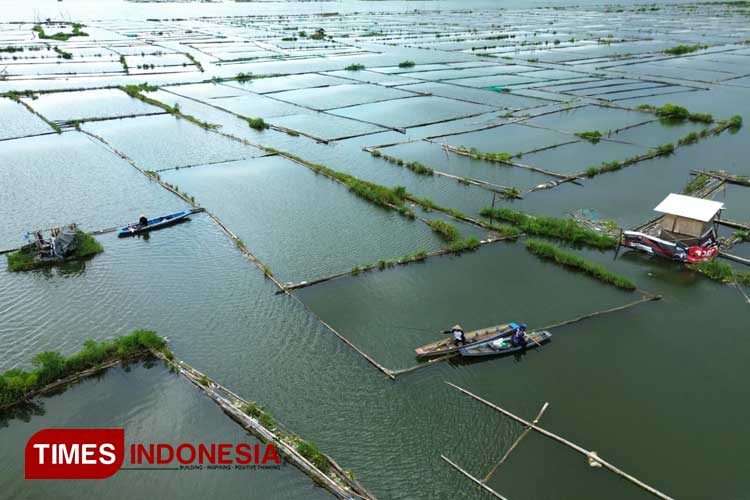 Proyek Pembangunan PLTS di Bendungan Karangkates Malang, Ratusan Petak Keramba Ikan Tawar Terancam Digusur