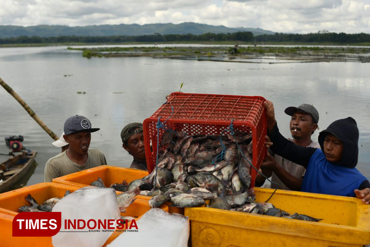 Petani-ikan-keramba-b.jpg