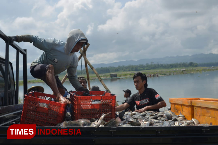 Proyek-Pembangunan-PLTS-di-Bendungan-Karangkates-Malang-B.jpg