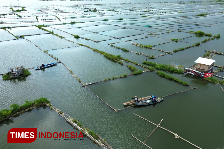 Foto Bendungan Karangkates dari udara. Terlihat dua perahu petani ikan melintas dekat Keramba Jaring Apung (KJA) yang ada di wilayah Jatiguwi, Sumberpucung, Kabupaten Malang. (Foto: Adhitya Hendra/TIMES Indonesia)