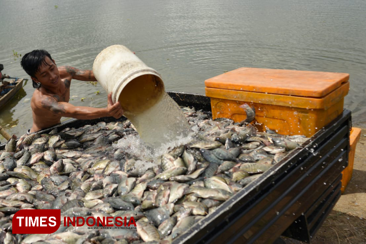 Proyek-Pembangunan-PLTS-di-Bendungan-Karangkates-Malang-D.jpg