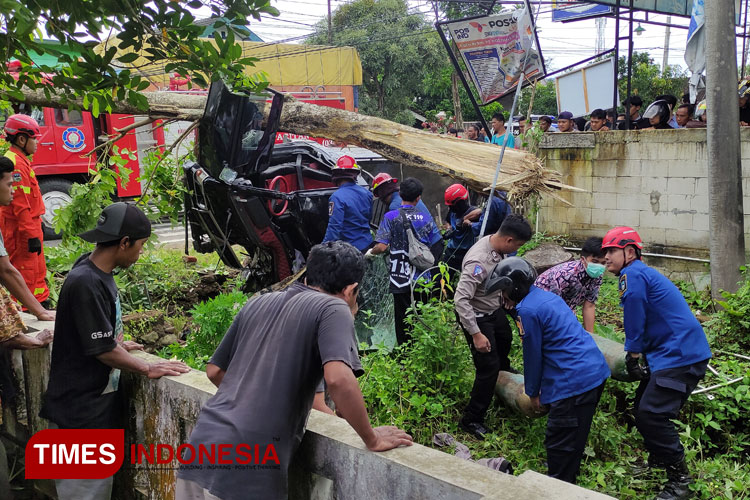 Pickup Terjungkal Usai Tabrak Pohon di Pacitan, Kenek Meninggal di Tempat