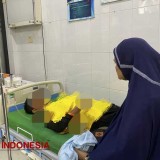 Lima Pengguna Jalan di Bondowoso Alami Luka Akibat Tertimpa Pohon