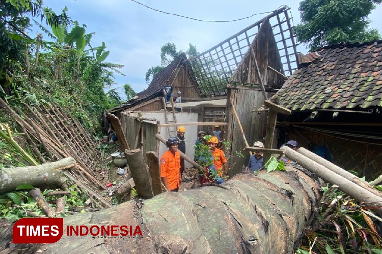 Pohon Tumbang Menimpa Rumah Warga Bondowoso, Enam Anggota Keluarga Selamat