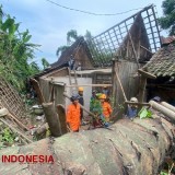 Pohon Tumbang Menimpa Rumah Warga Bondowoso, Enam Anggota Keluarga Selamat