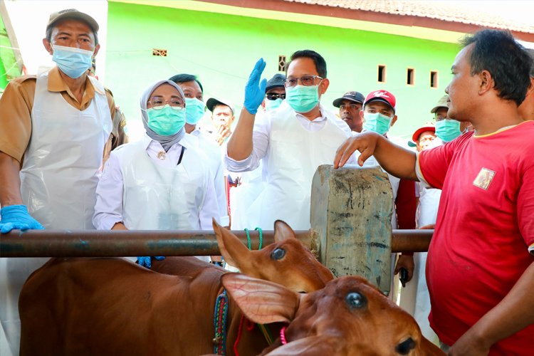 Tetapkan Status Darurat PMK, Pj Gubernur Jatim Imbau Percepatan Penanganan Holistik