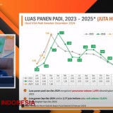 Dampak El Nino, Luas Panen Padi Tahun 2024 Alami Penurunan