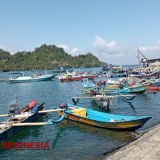 Musim Paceklik, Hasil Ikan Nelayan Sendangbiru Hanya untuk Kebutuhan Sendiri