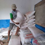 Sultra Siaga 38.129 Ton Pupuk Bersubsidi demi Swasembada Pangan