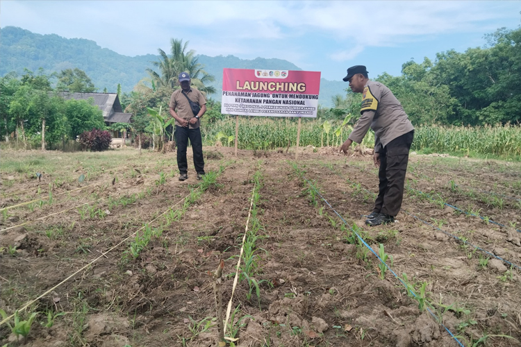 Begini Komitmen Polresta Banyuwangi Wujudkan Ketahanan Pangan Nasional