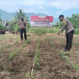 Begini Komitmen Polresta Banyuwangi Wujudkan Ketahanan Pangan Nasional