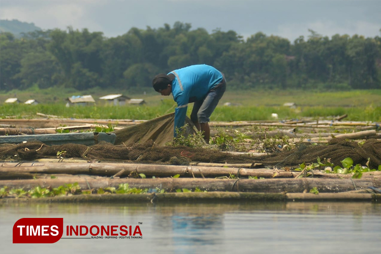 Budidaya-Ikan.jpg