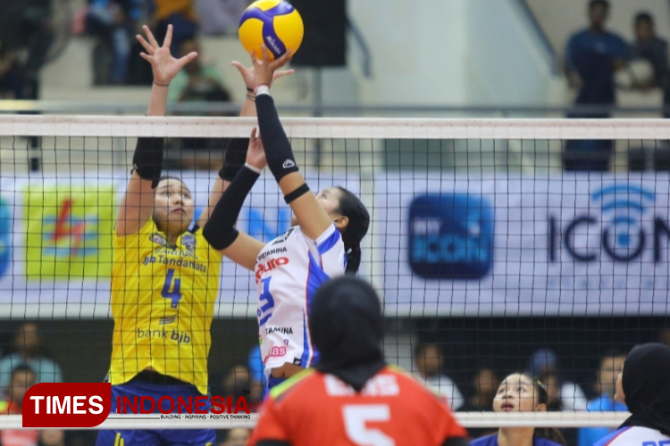 PLN-Mobile-Proliga-2025-B.jpg