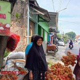 Rambutan Si Batulawang Menjadi Pilihan Wisata Agro di Kota Banjar