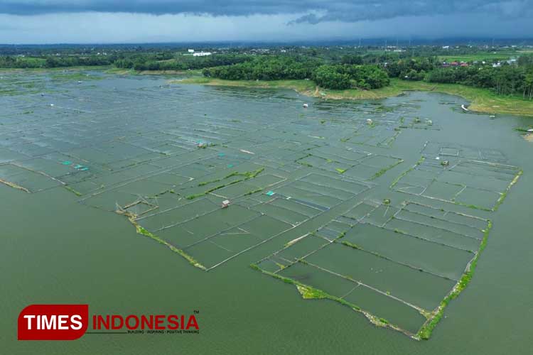 Petani Berharap Tetap Bisa Budidaya Ikan Tawar di Bendungan Karangkates Malang, Ini Respon Pihak PLTS